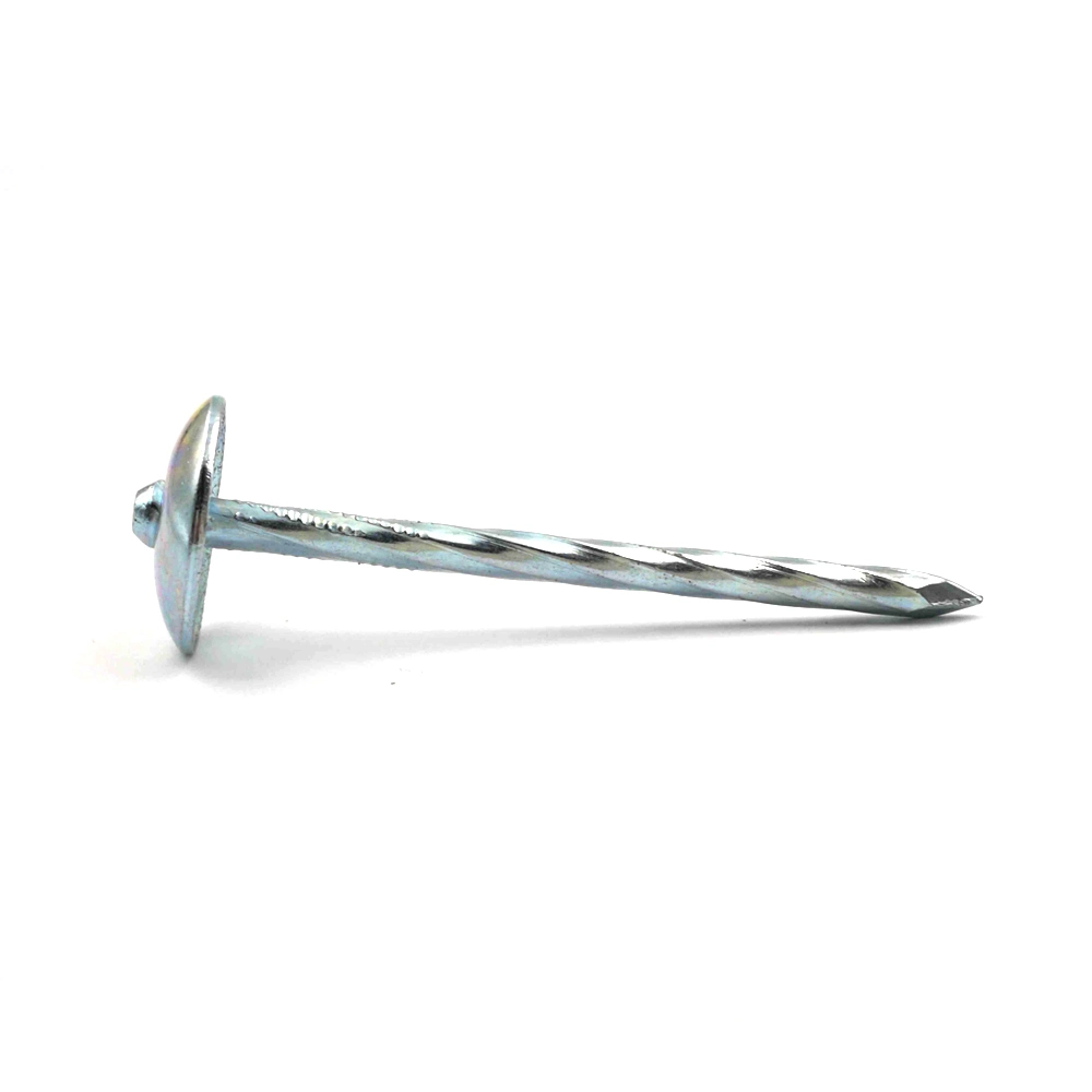 Galvanized Umbrella Head Roofing Nails with Smooth/Twist Shank Manufacturer