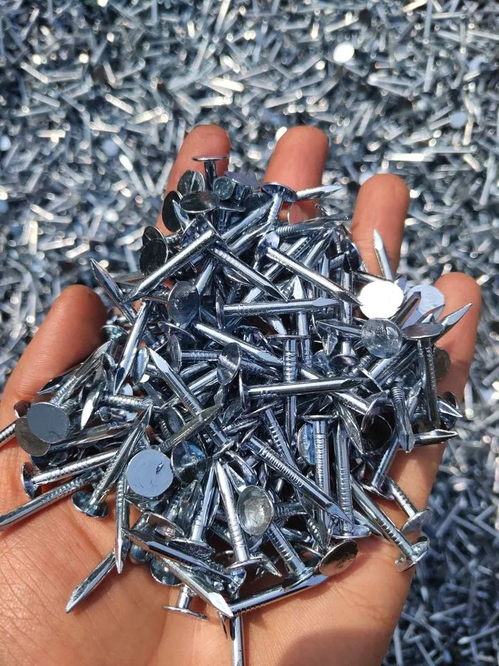 1&quot;*2.8mm Electro Galvanized Roofing Cupper Nails for Nigeria