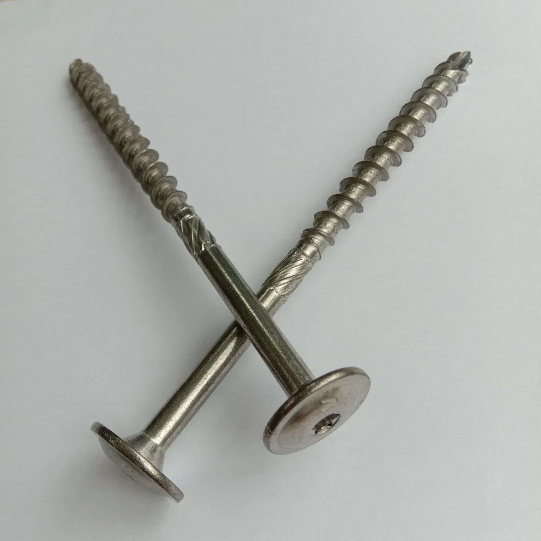 304 Stainless Steel Screw Deck Nail Torx Head Cut Point with Hot Dipped/Galvanized/Respurt