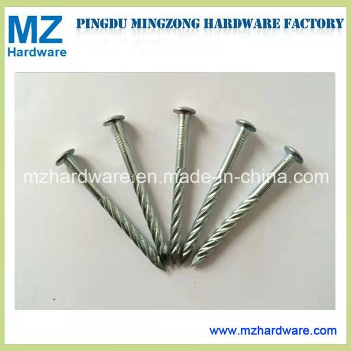 Galvanzied Screw Ring Twist Shank Nail