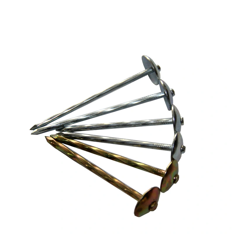 Galvanized Twisted Umbrella Head Nails Roofing Nails in Guangzhou