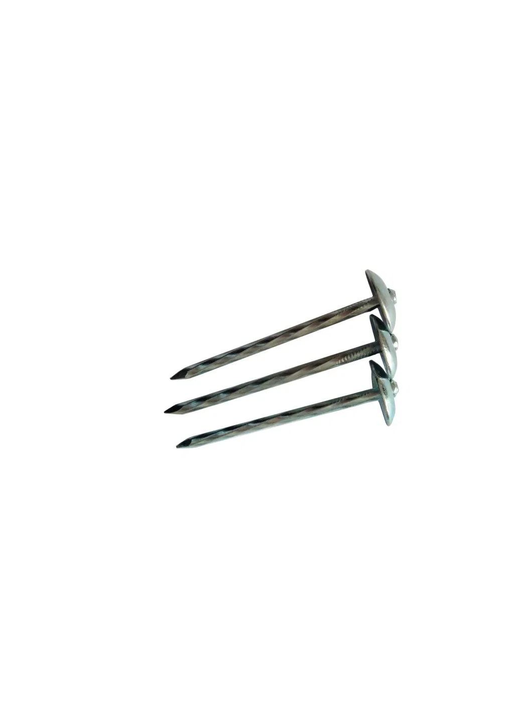 Galvanized Umbrella Head Smooth/Twist Shank Roofing Nail From China Factory