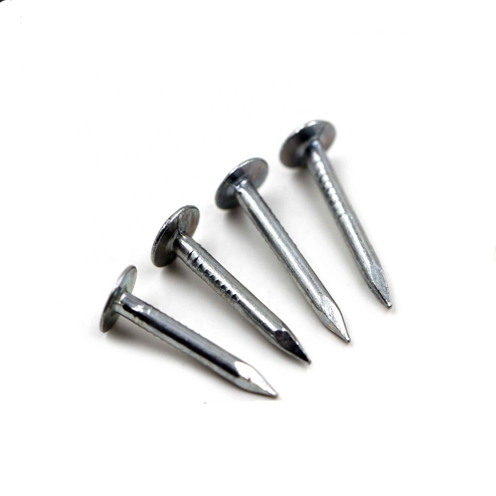 32mm Electro Galvanized Clout Nails Cupper Nails for South Africa Market