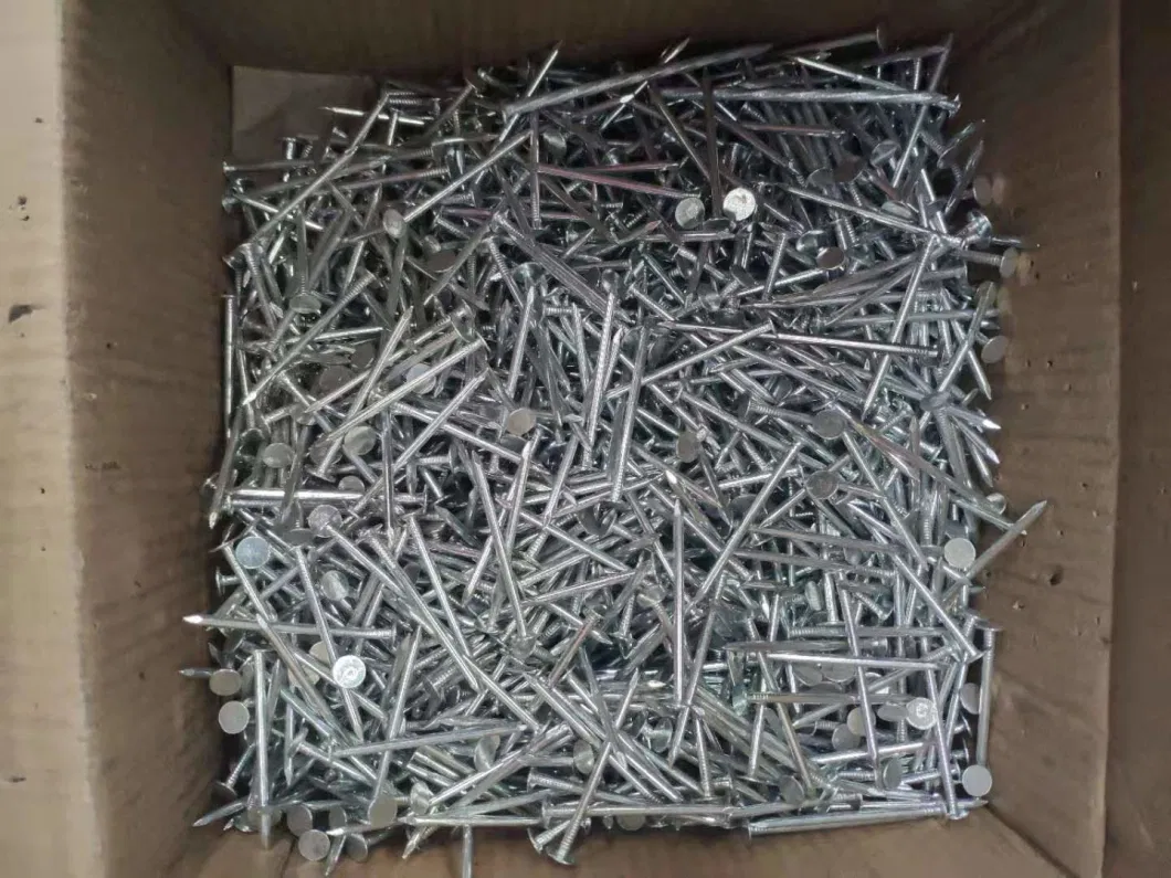 32mm Electro Galvanized Clout Nails Cupper Nails for South Africa Market