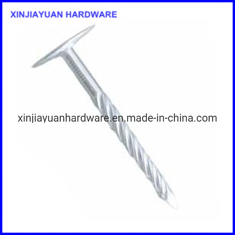 Fasteners Galvanized Roofing Nail Big Flat Head