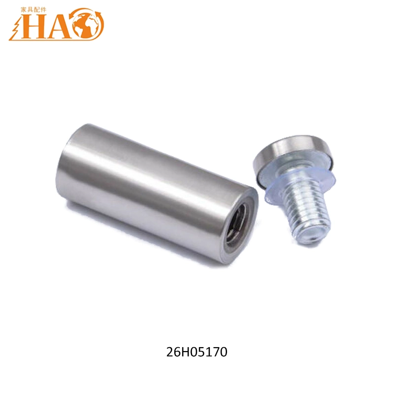 Mirror Screw Stainless Steel Advertising Nail Hollow Screw Glass Decorative Nail Standoff Sign Holders Screws Cap Nails