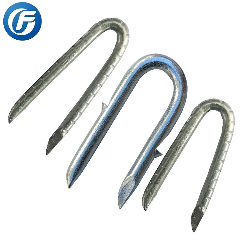 Hardened Steel Nail Galvanized Hot Sale U Type Nails Fence Staples