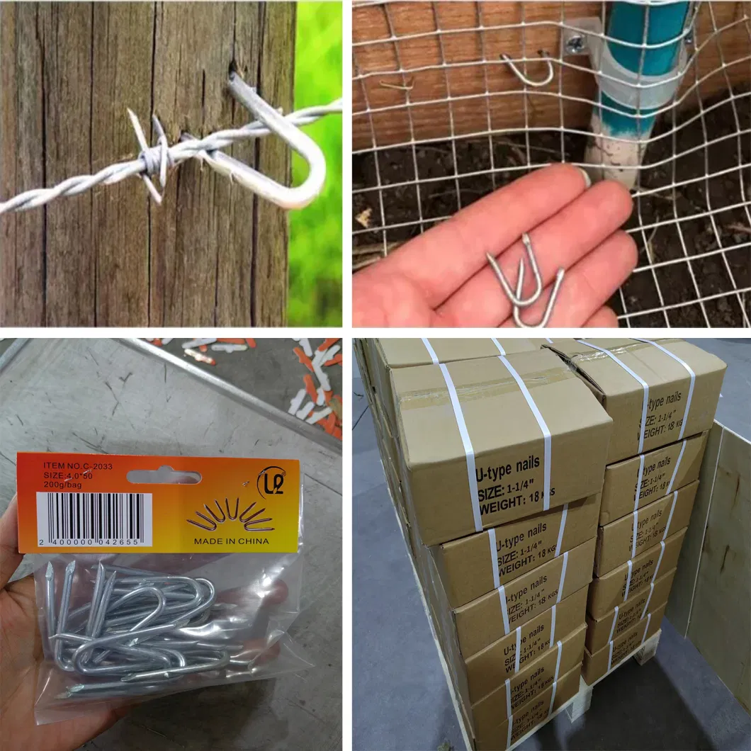 Hardened Steel Nail Galvanized Hot Sale U Type Nails Fence Staples