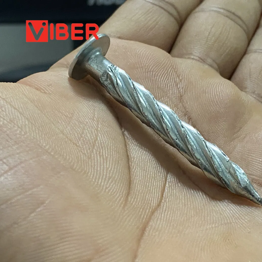 OEM Galvanized Flat Head Threaded Nail Big Head Twist Nail