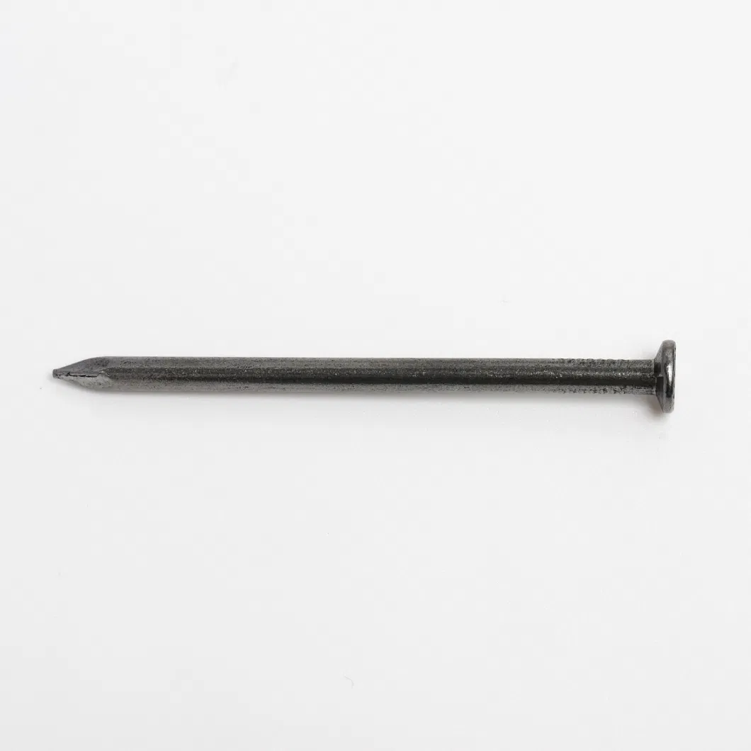 Common Round Wire Iron Nail, Polished Common Nail