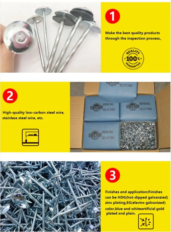 China Electro Galvanized Roofing Nail Screws Twisted Shank Screw Nail with Rubber Washer Zinc Twist Roofing Nails