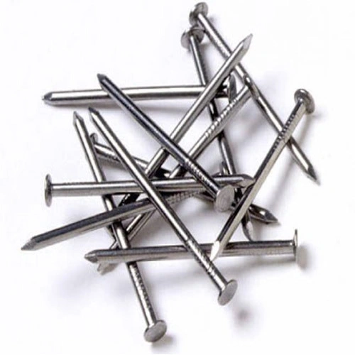 Focus on Quality Common Concrete Nails/Q195 Flat Head Bright Common Nails/ Wire Nails/Pallet Nails/ Coil Roofing Nails/ Concrete Nails/ Iron Nail/U Type Nails/F