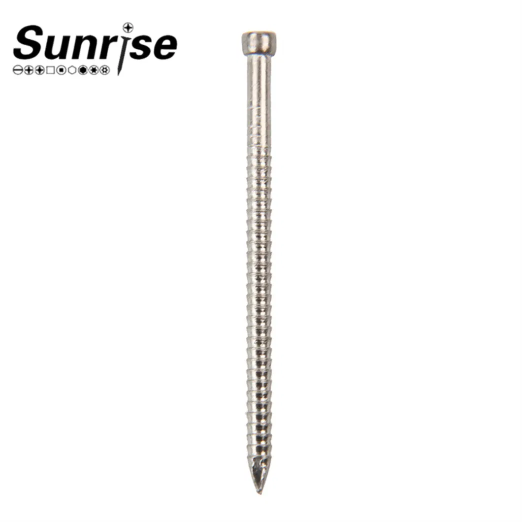 Stainless Steel Shank Nails Screws