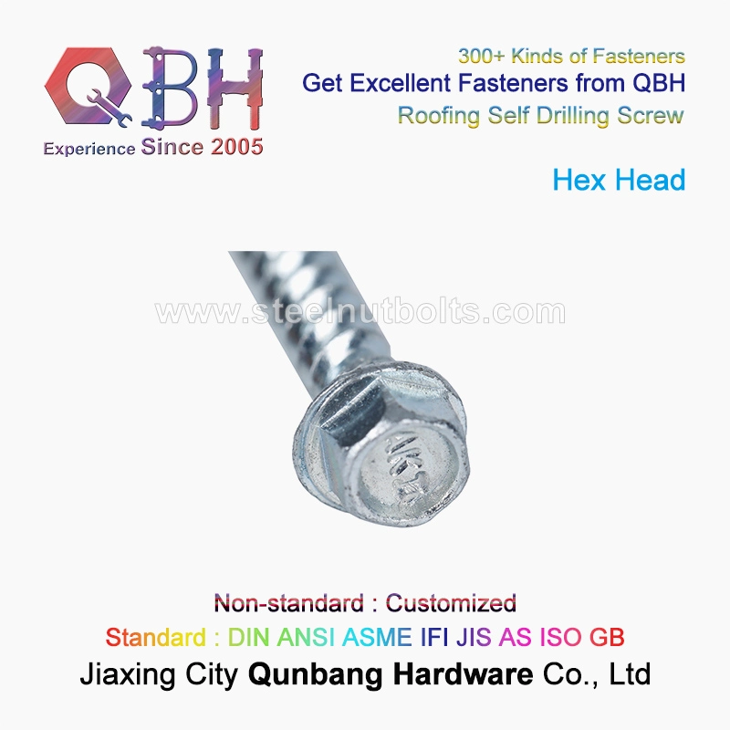 Qbh Plain/Black/HDG/Dacromet/Geomet Roofing Self Tapping Drilling Screw Machine Machinery Machining Maintaining Repairing Replace Replacement Spare Parts