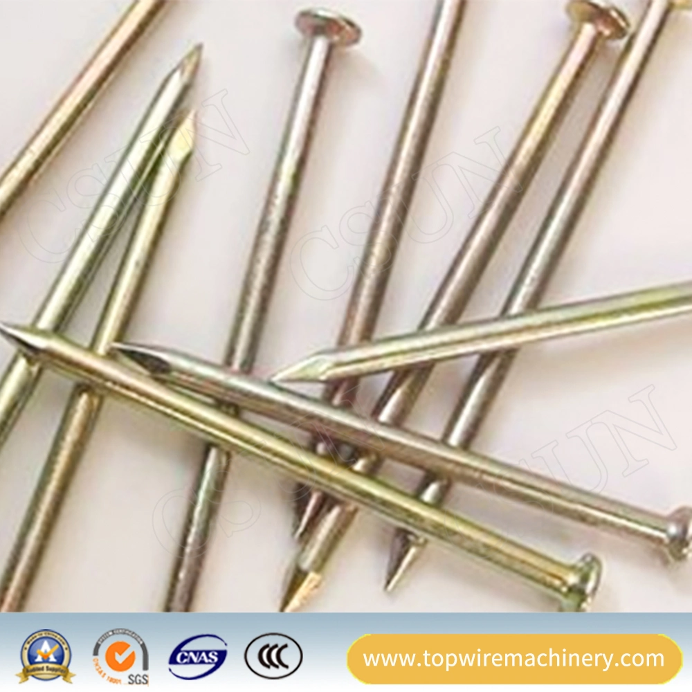 Round Head Construction Hardware Galvanized Steel Common Nail Manufacturer