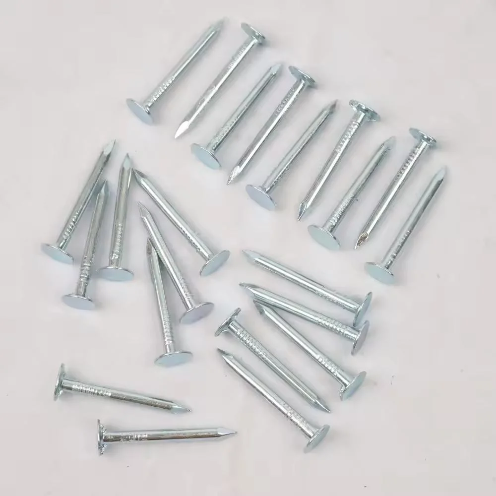 Flat Big Head Clouts Nail Common Wire Nail Steel Concrete Iron Nail