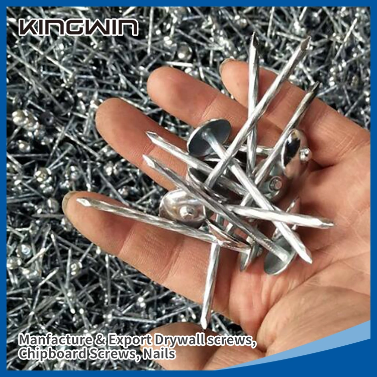 Strong Head 9g *2.5 Galvanized Roofing Nail with Twist/Smooth Shank for Africa Market 3kg/Box, 8boxes/CTN, 25kg/CTN, 50kg/Gunny Bag