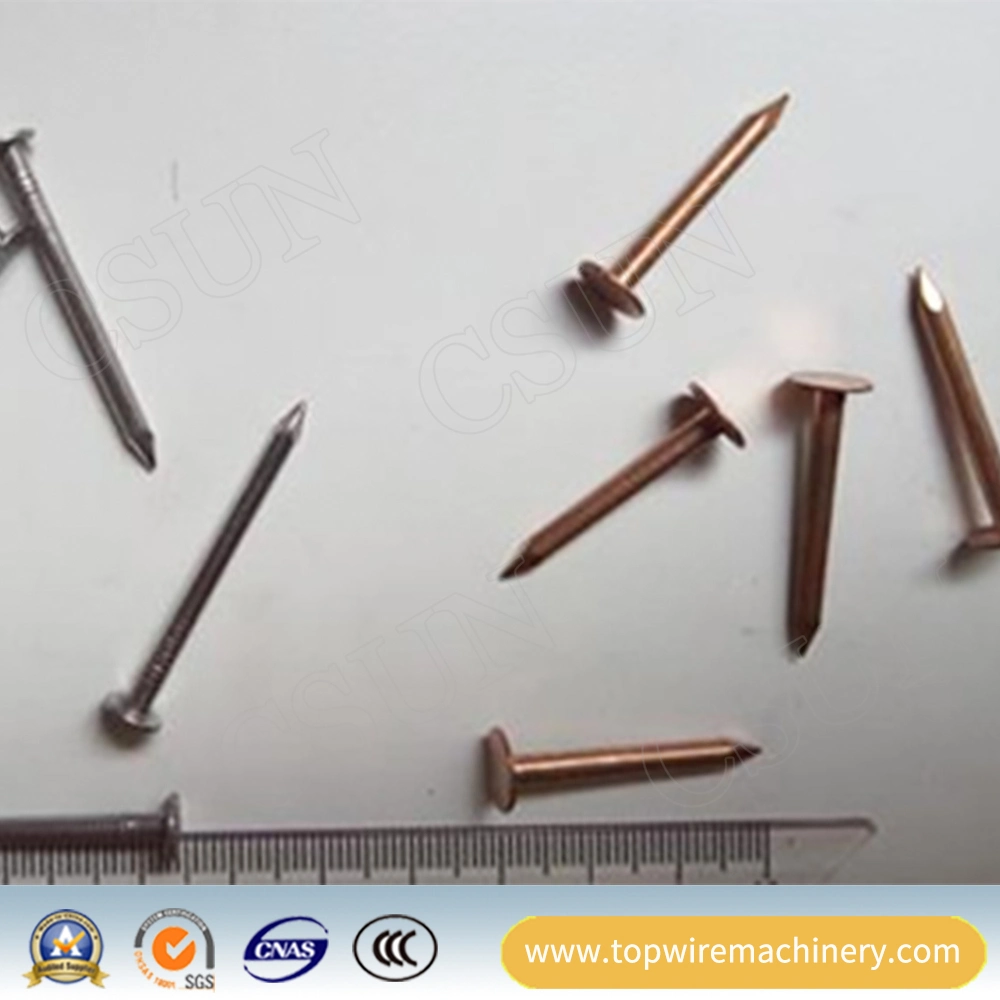 Round Head Construction Hardware Galvanized Steel Common Nail Manufacturer