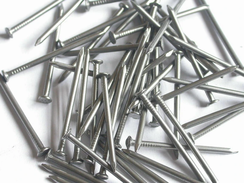 Q195 Good Price Polished Nail/Galvanized Common Iron Nail/ Wire Nail/Wooden Nail/Roofing Nail/Concrete Nail for Construction 2&prime; &prime;