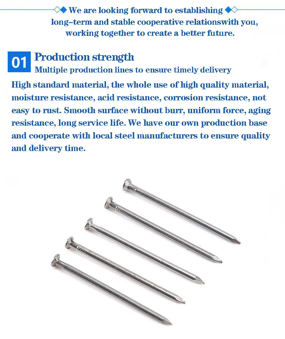 Rust and Corrosion Resistant/Flat Head Double Hat Nail/Smooth Rod General Nail/Double Hat Nail