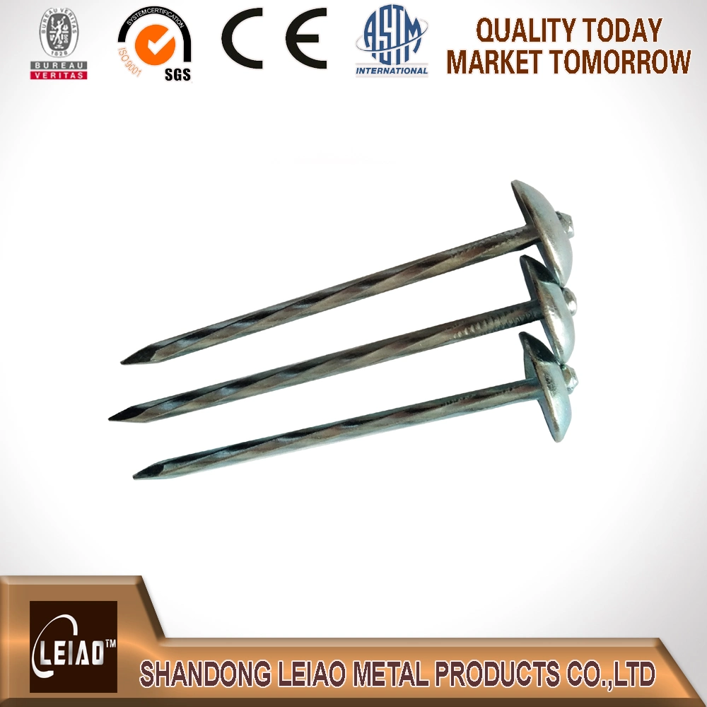 Galvanized Roofing Nails Unbrella Head Factory