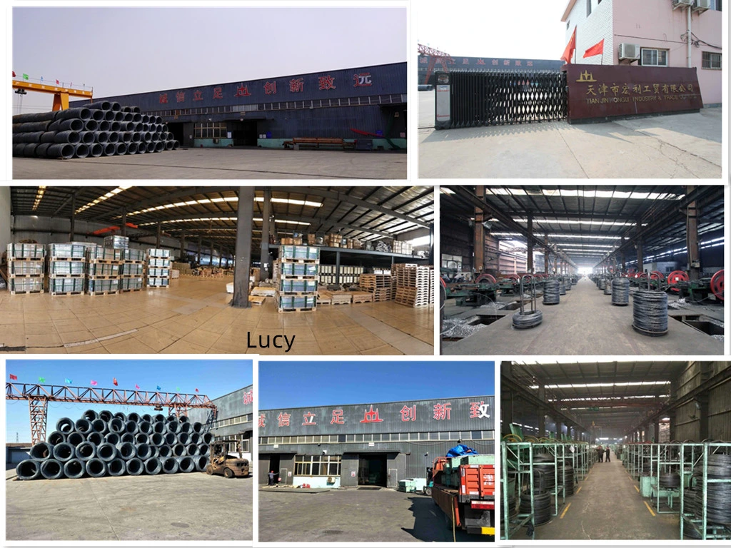 China Wholesale Galvanized Smooth / Twisted Shank 9bwg X 2.5&quot;10bwg X 2&quot; 12bwg 7lbs 8boxes 3.125kg / Box Umbrella Head Roofing Nails