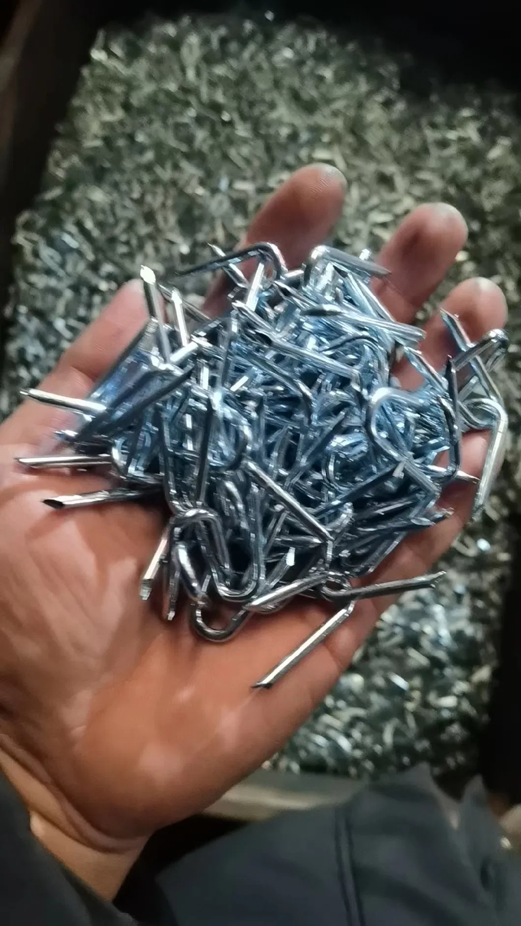 Galvanized U Type Nails for Farm Barbed Fence Staple/High Quality U Type Nails/ U Nail /U Shaped Nails