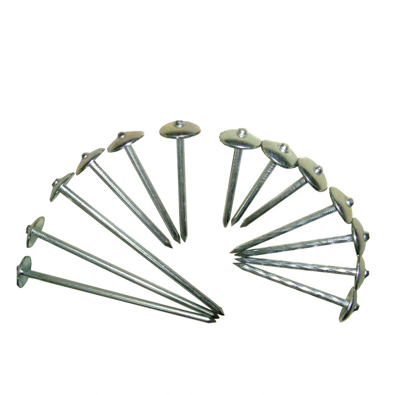 Galvanized Twisted Umbrella Head Nails Roofing Nails in Guangzhou