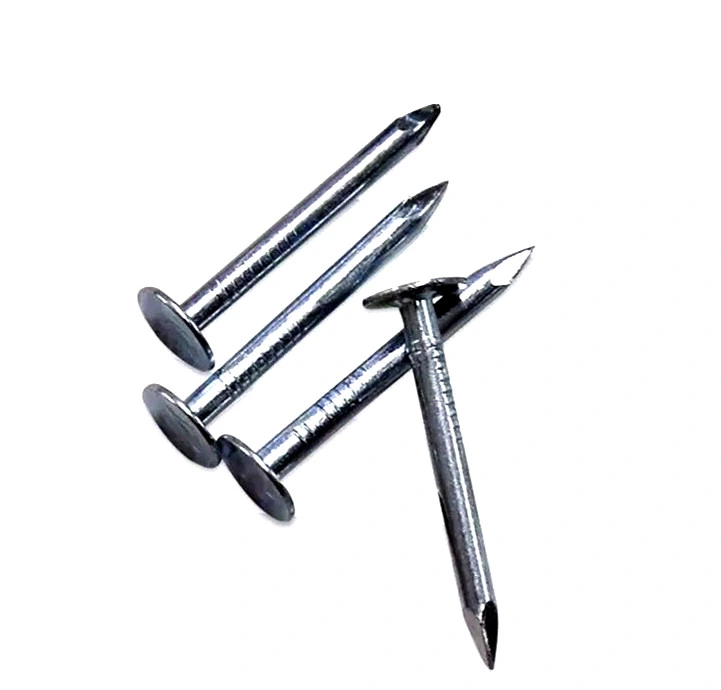 Big Head Zinc Plated Cupper Nails Concrete Nail in Guangzhou