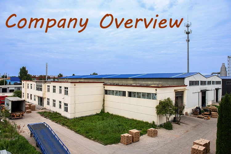 Spiral Twisted Screw Shank Coil Nails Manufactory