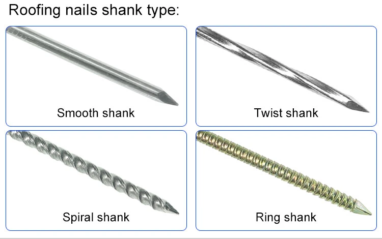 China Electro Galvanized Roofing Nail Screws Twisted Shank Screw Nail with Rubber Washer Zinc Twist Roofing Nails