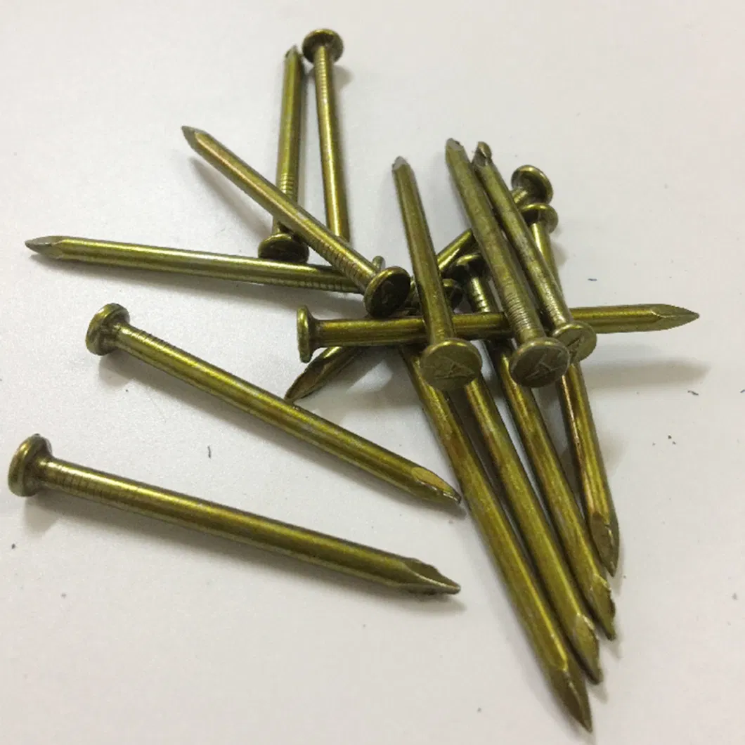 Galvanized Bright Steel Smooth Shank Common Nails