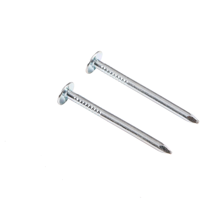 Flat Head Clout Nails Galvanized Cupper Nails