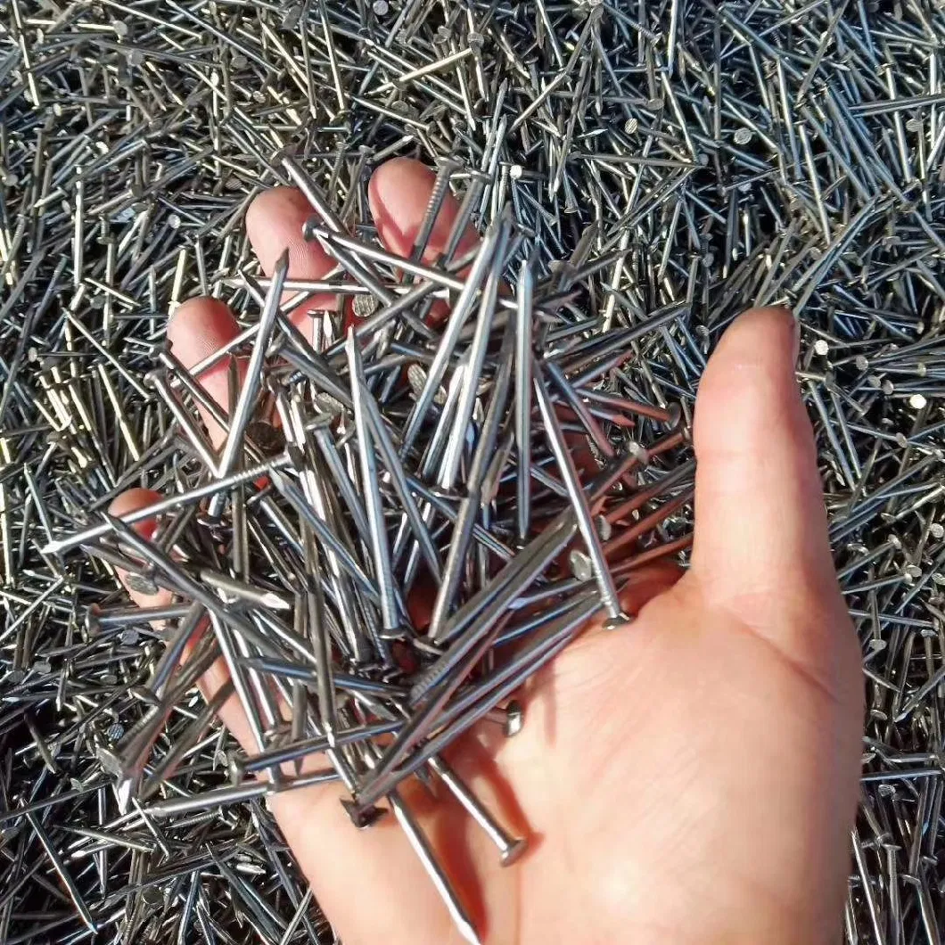 Factory Galvanized and Polished 2.5 Common Nails Bwg 11