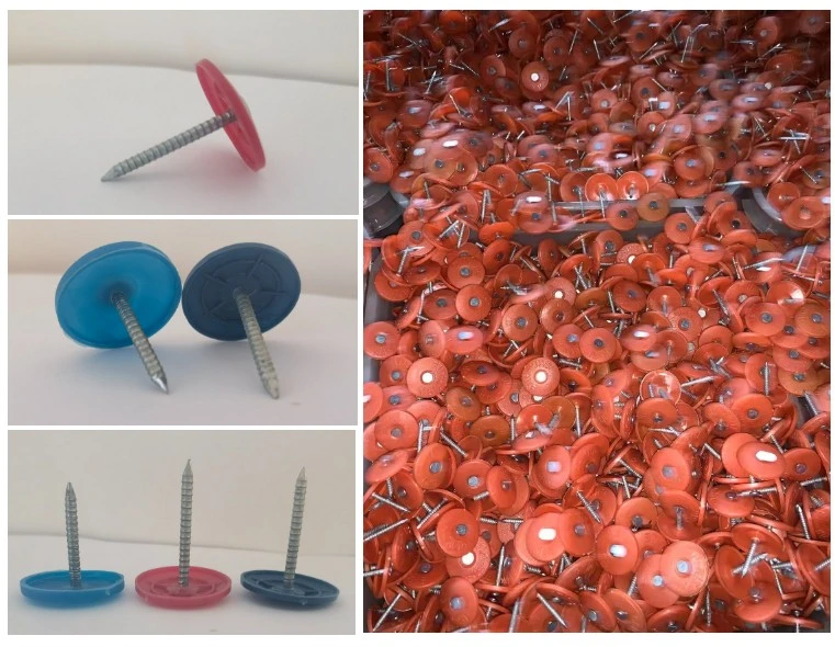 High Quality 3/4 &quot; Bwg12 Plastic Head Cap Roofing Nails