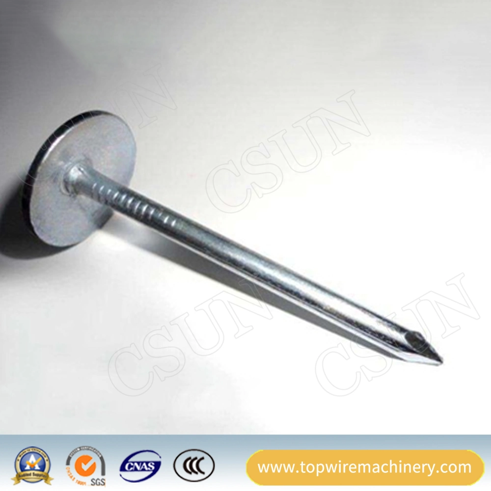 Polished/Galvanized Steel Twisted Shrank Umbrella Linoleum Nails Corrugated Roofing Nail