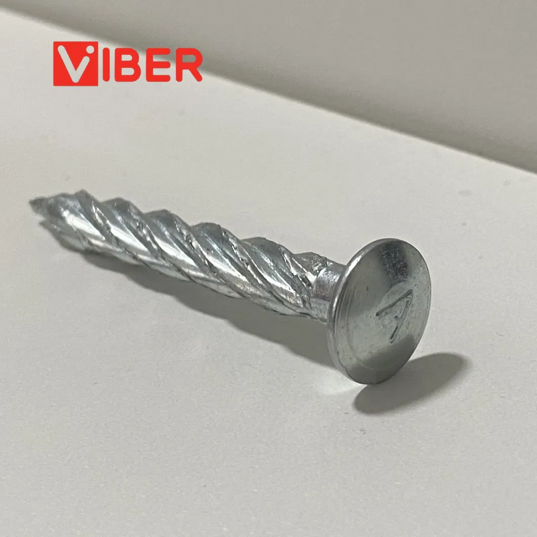 2024 Galvanized Flat Head Threaded Nail Big Head Twist Nail