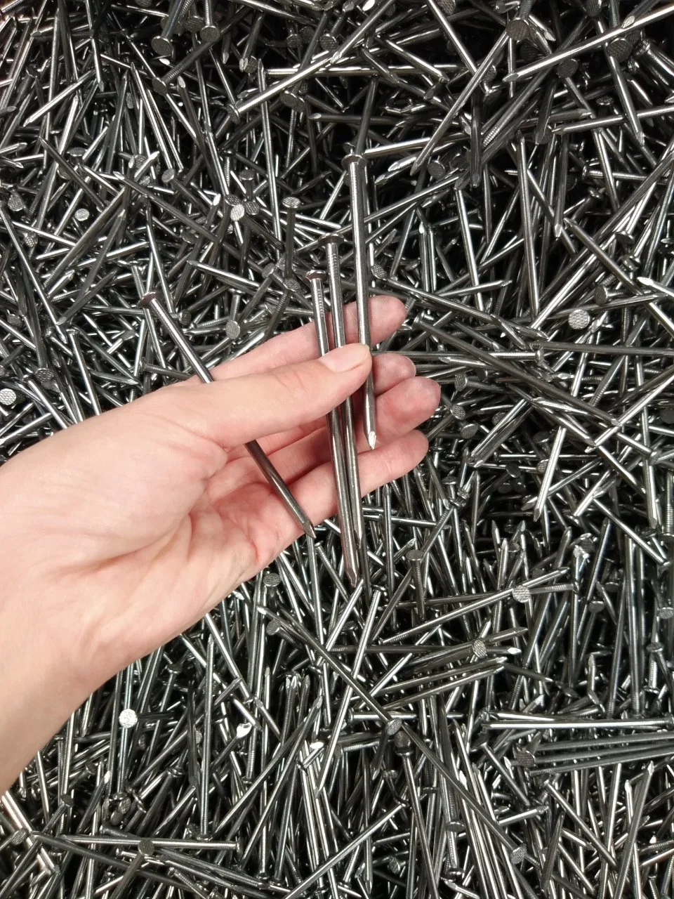 All Sizes Headless Common Iron Nail