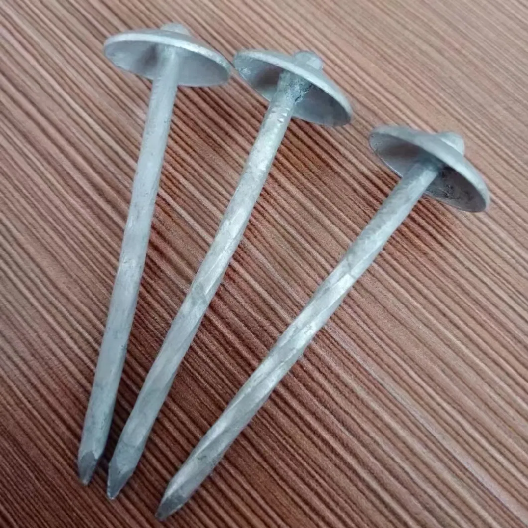 Twist Shank Eg Umbrella Head Roofing Nails Factory Directly Sale