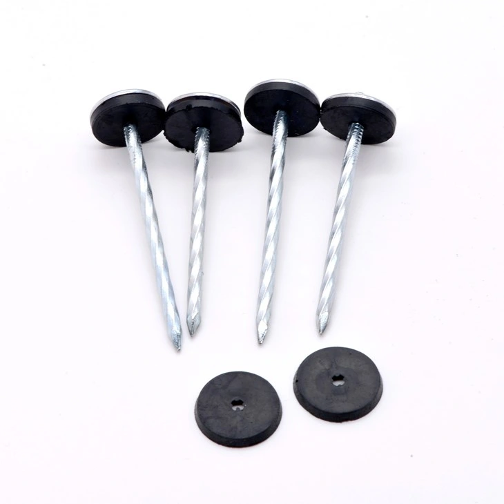 Common Wire Nail Polished 2.5 Inch Wood Nail with Big Head 7kg Bag Hardware Fastener for Construction Material