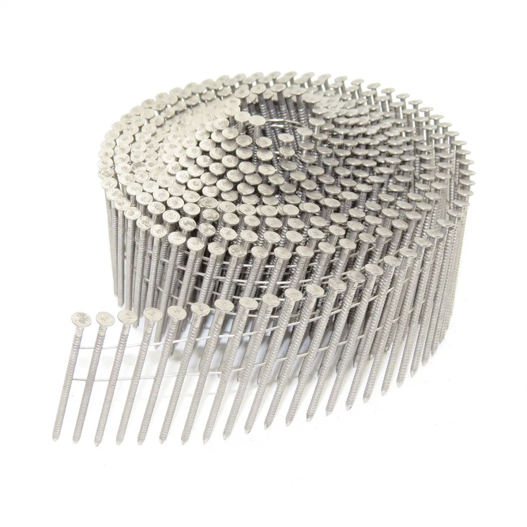 High Quality Stainless Steel Collated Coil Nails