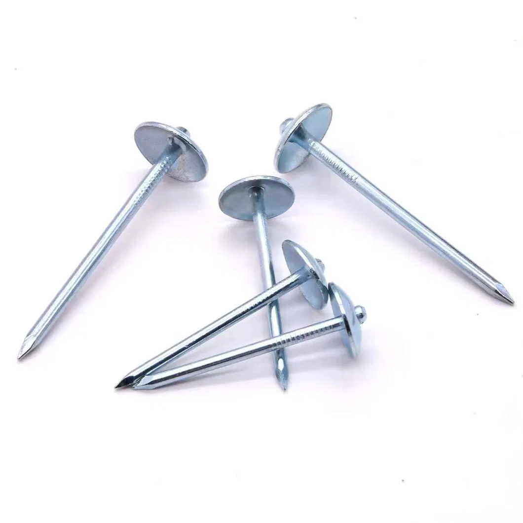 Twist Shank Eg Umbrella Head Roofing Nails Factory Directly Sale