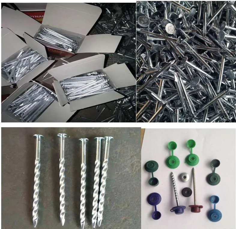 HDG Eg Polished Iron Steel Nails Roofing Nails Cupper Nails U Type Nails Small Polybag Packing