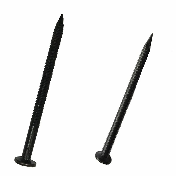 Guangzhou Supplier Black Ring Shank Nail in Guangzhou