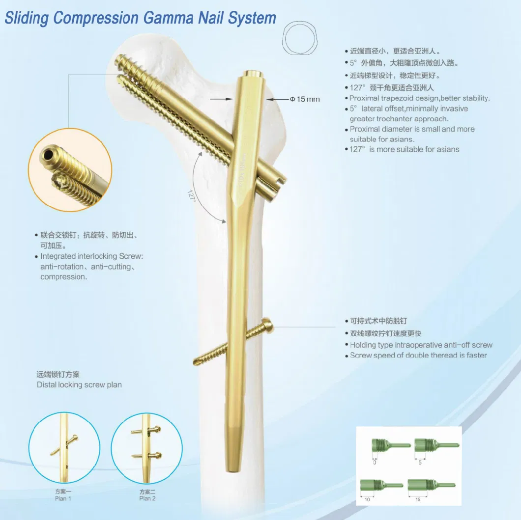 Orthopedic Implants Femoral Neck Dynamic Cross Screw System Locking Plates