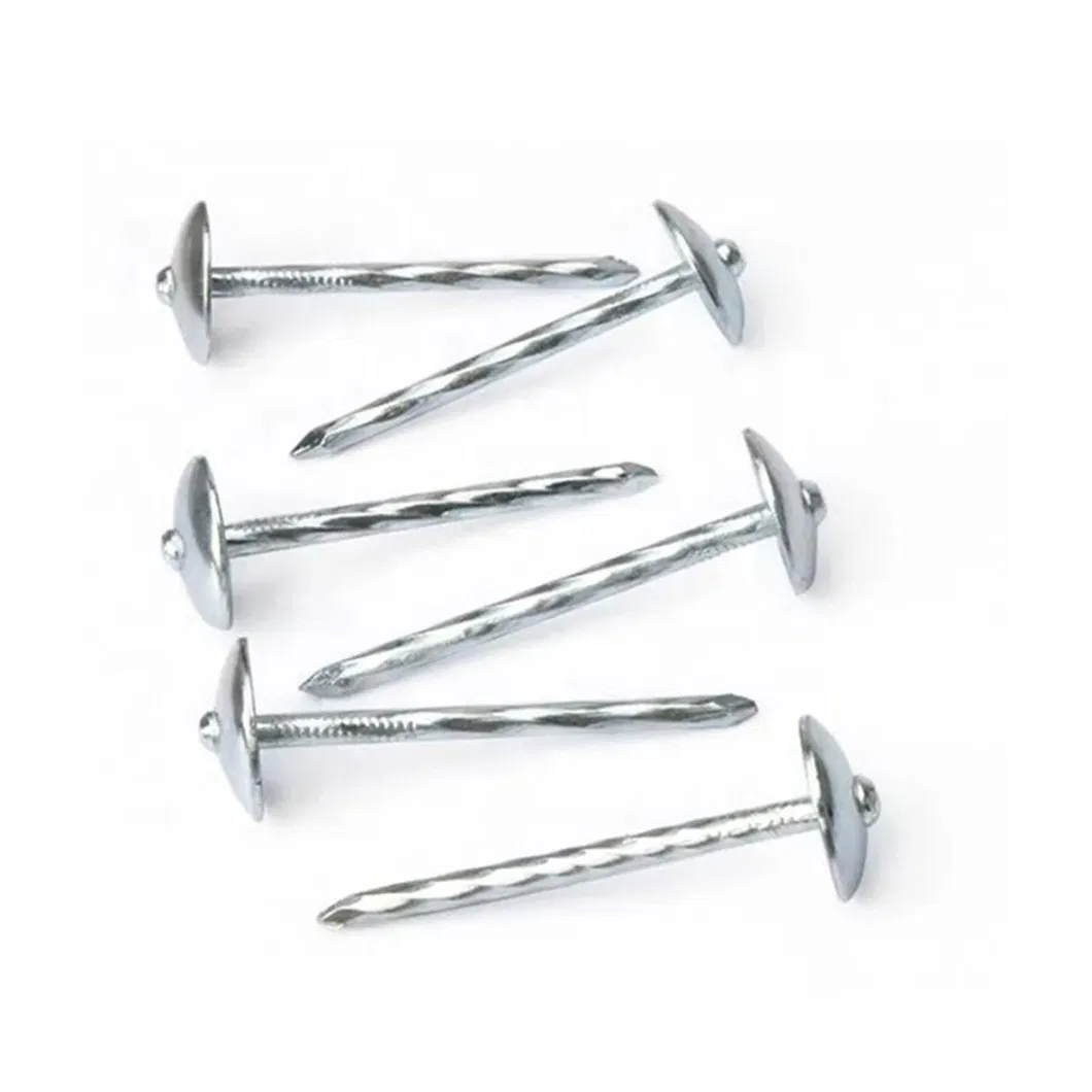 Twisted Shank Umbrella Galvanized Roof Nails with Cap Bwg9X2.5&quot; Clavo PARA Techo De Zinc Ring Shank Roofing Nail Without Washer