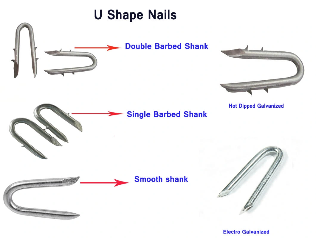 China Factory Supply Nails Product U Shape Nails