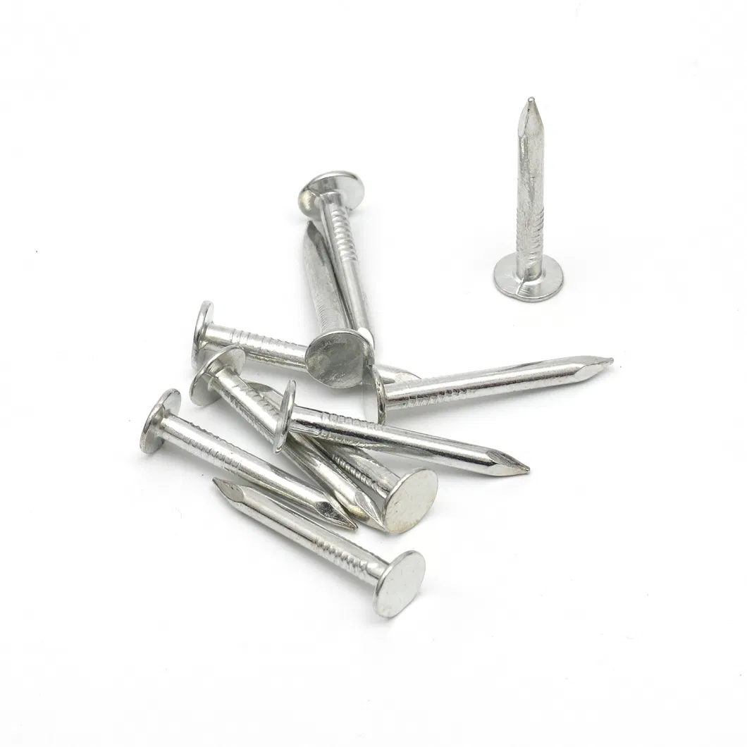 Zinc Plated Flat Big Head Clout Nail for Roofing