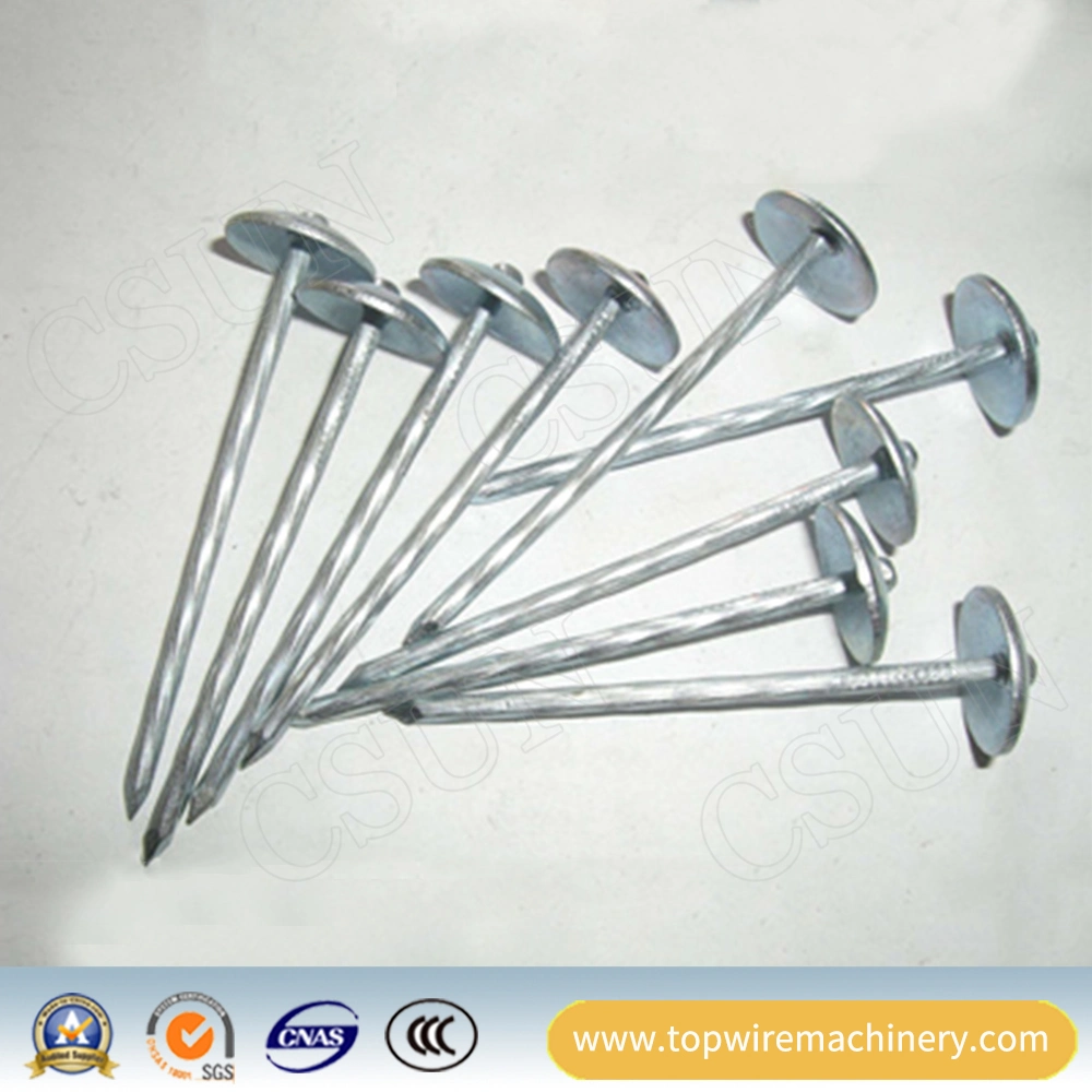 Polished/Galvanized Steel Twisted Shrank Umbrella Linoleum Nails Corrugated Roofing Nail