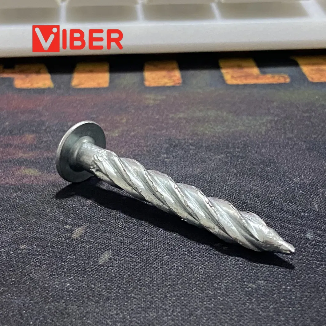 OEM Galvanized Flat Head Threaded Nail Big Head Twist Nail